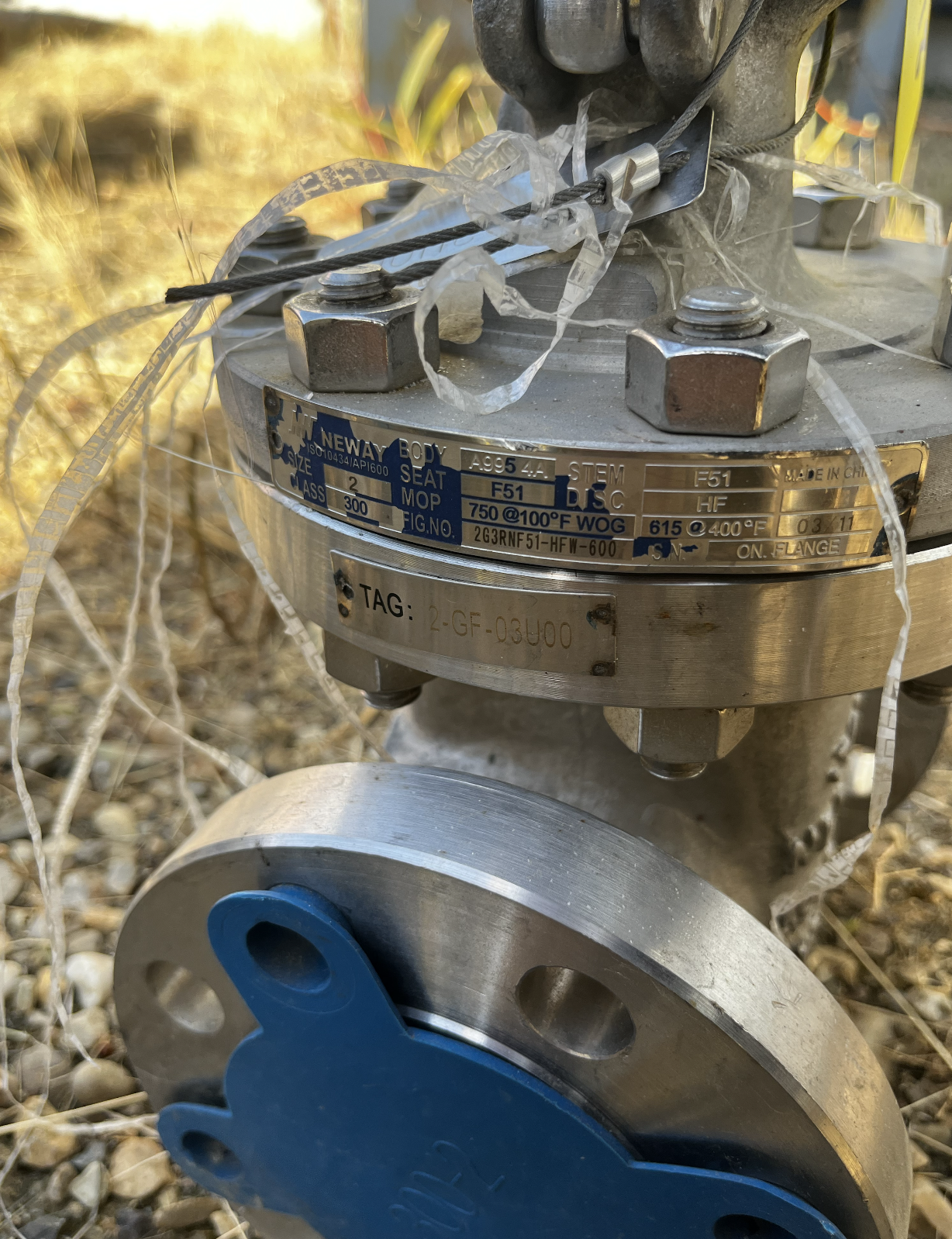 Neway 2-Inch Class 300 Cast Steel Gate Valve FIG. 7263RNF51-HF-W-600 — product image 2 of 2