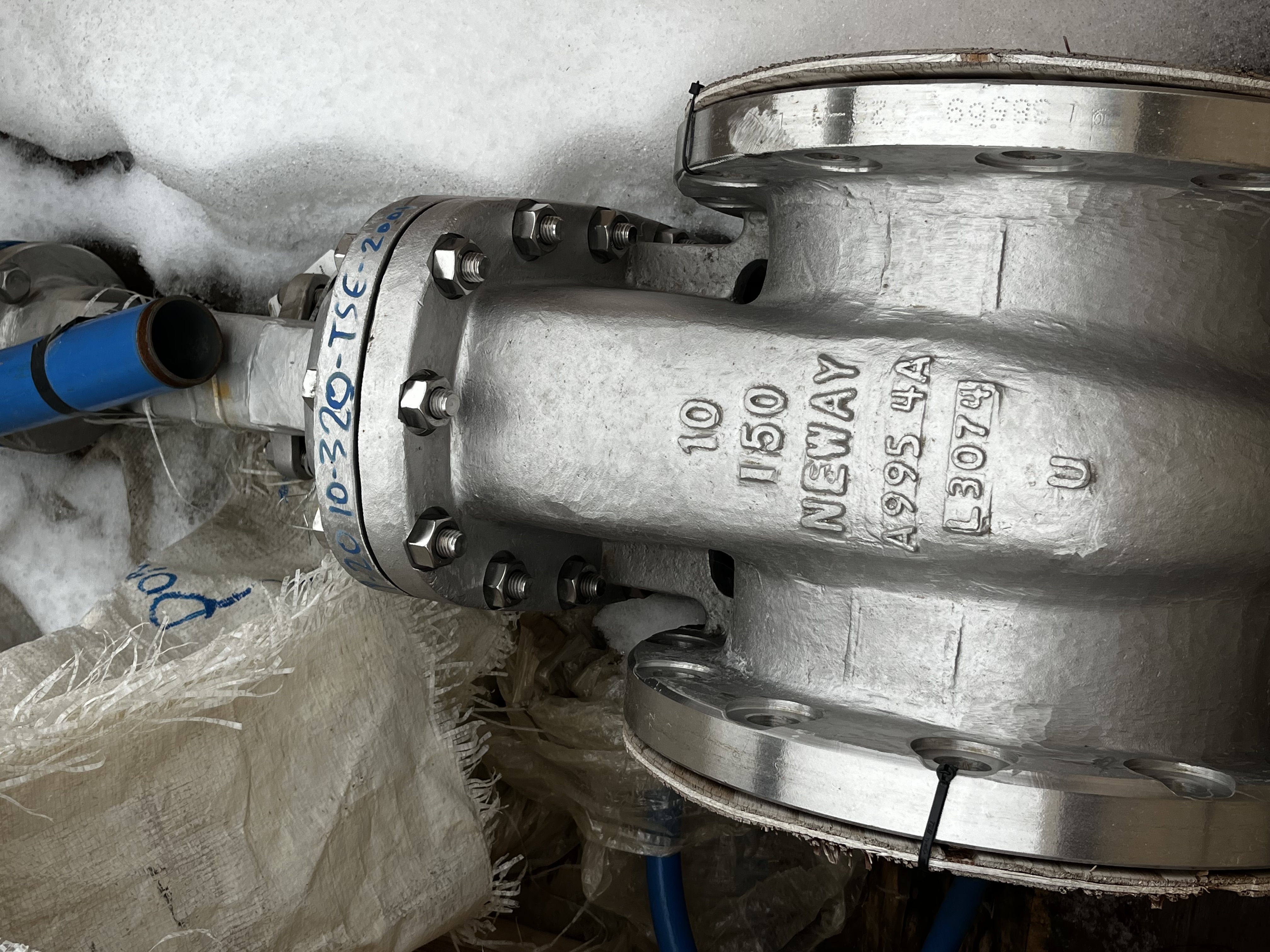 Neway 10 Inch Class 150 Duplex Stainless Steel Swing Check Valve