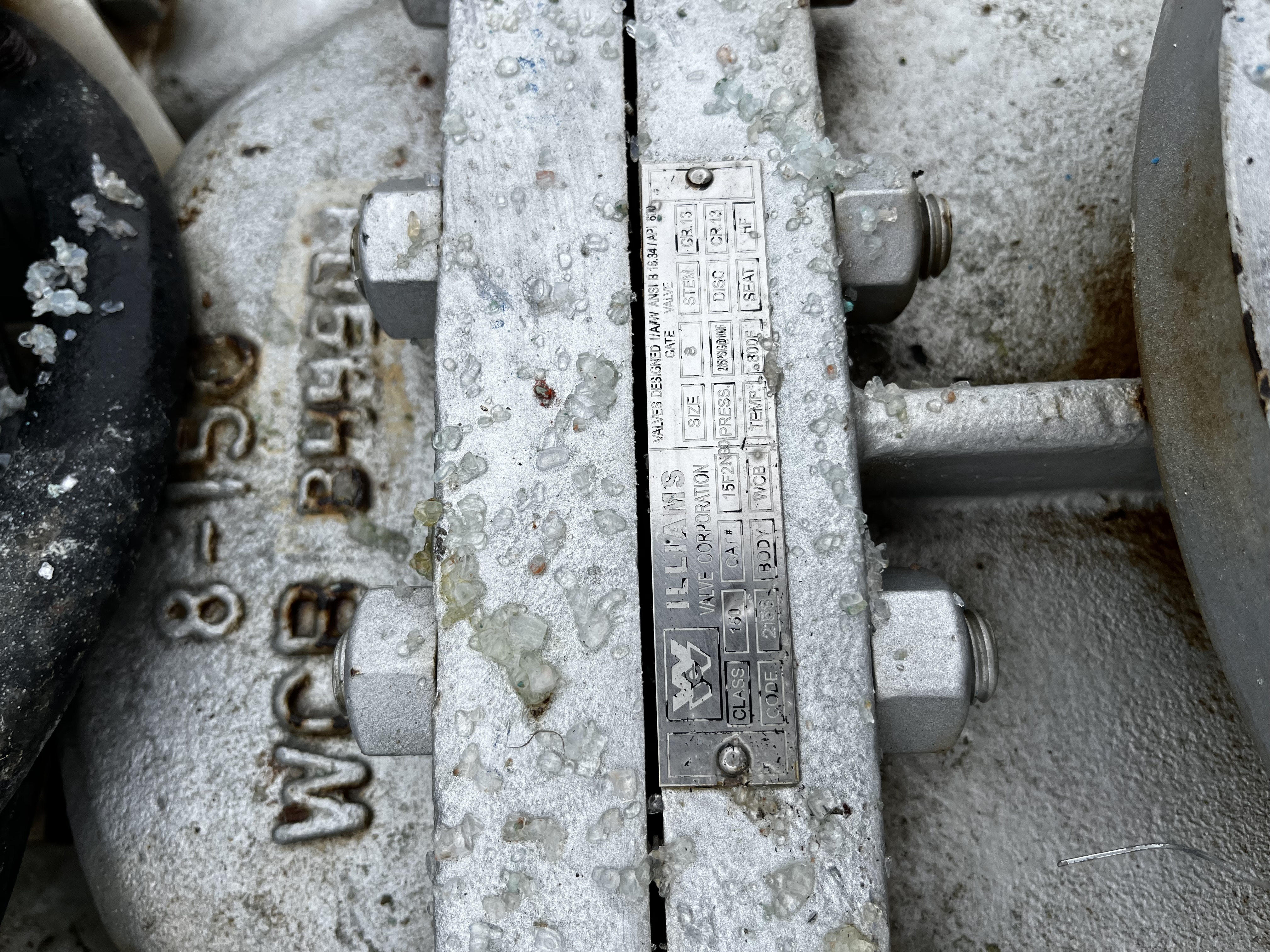 Williams Valve 8-inch Class 150 Carbon Steel Gate Valve — product image 2 of 2
