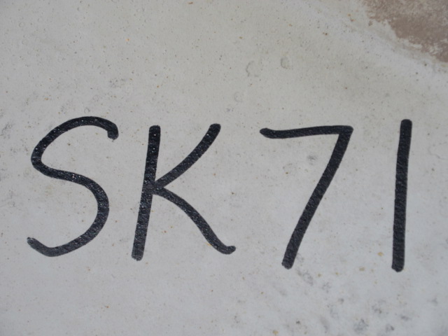 Industrial Containment Skid SK71