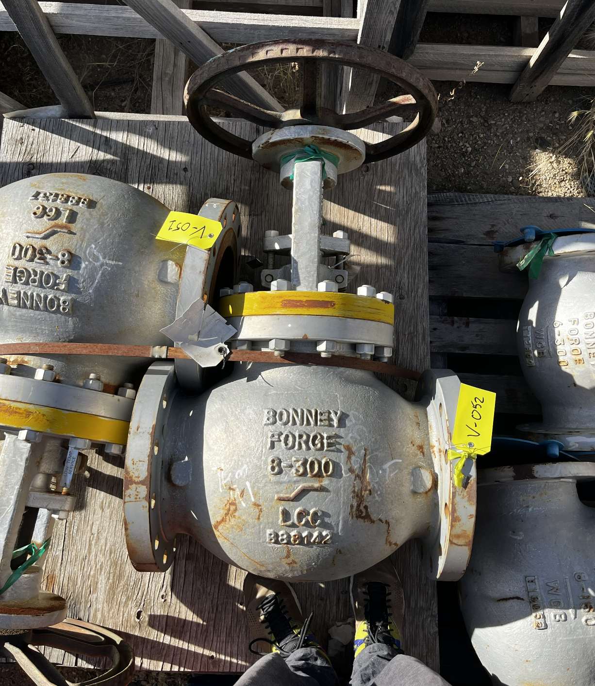 Bonney Forge Globe Valve B-300 8-inch Class 150 — primary product image