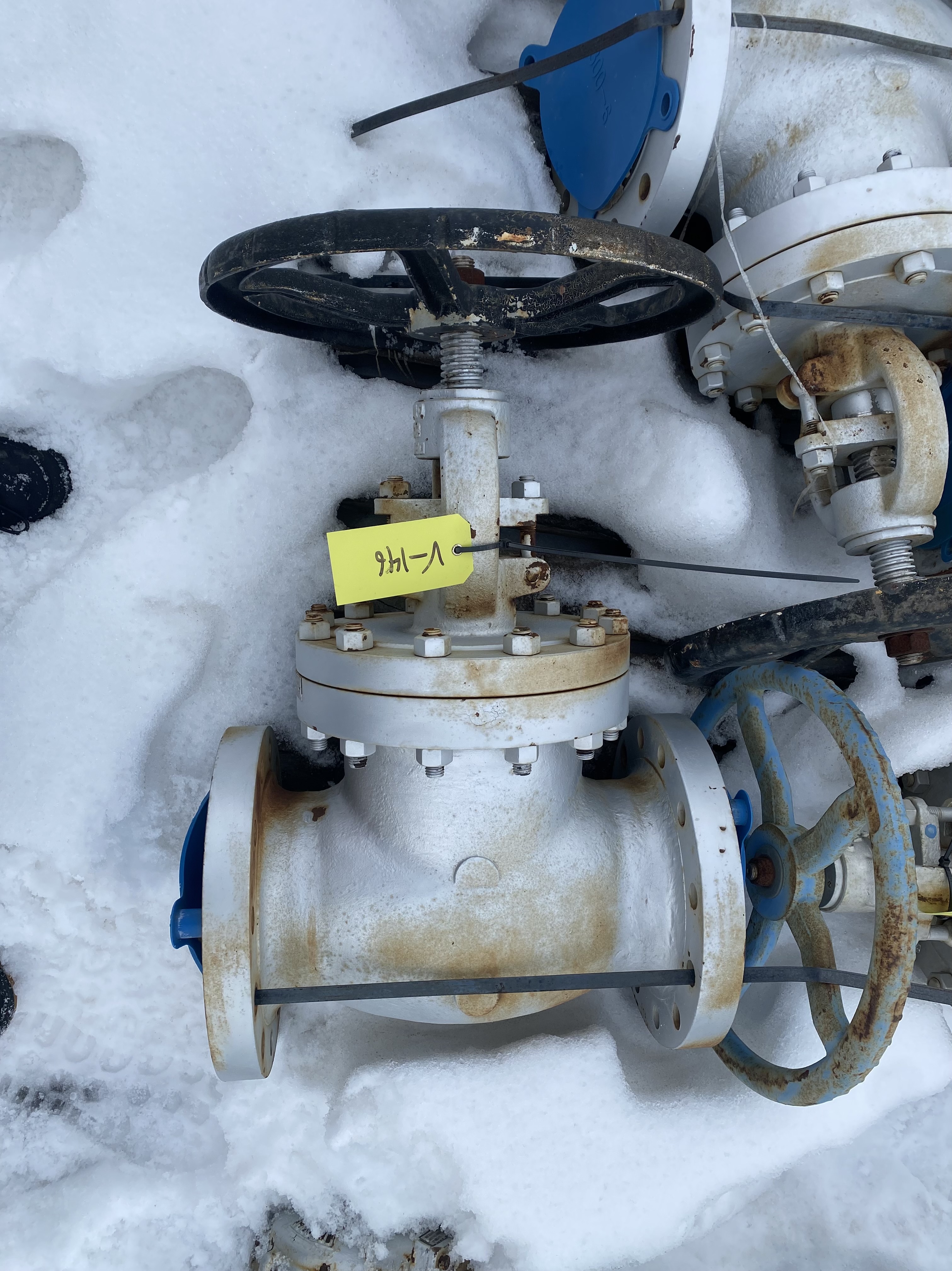 Williams Valve Corporation 6 Inch Class 300 Globe Valve