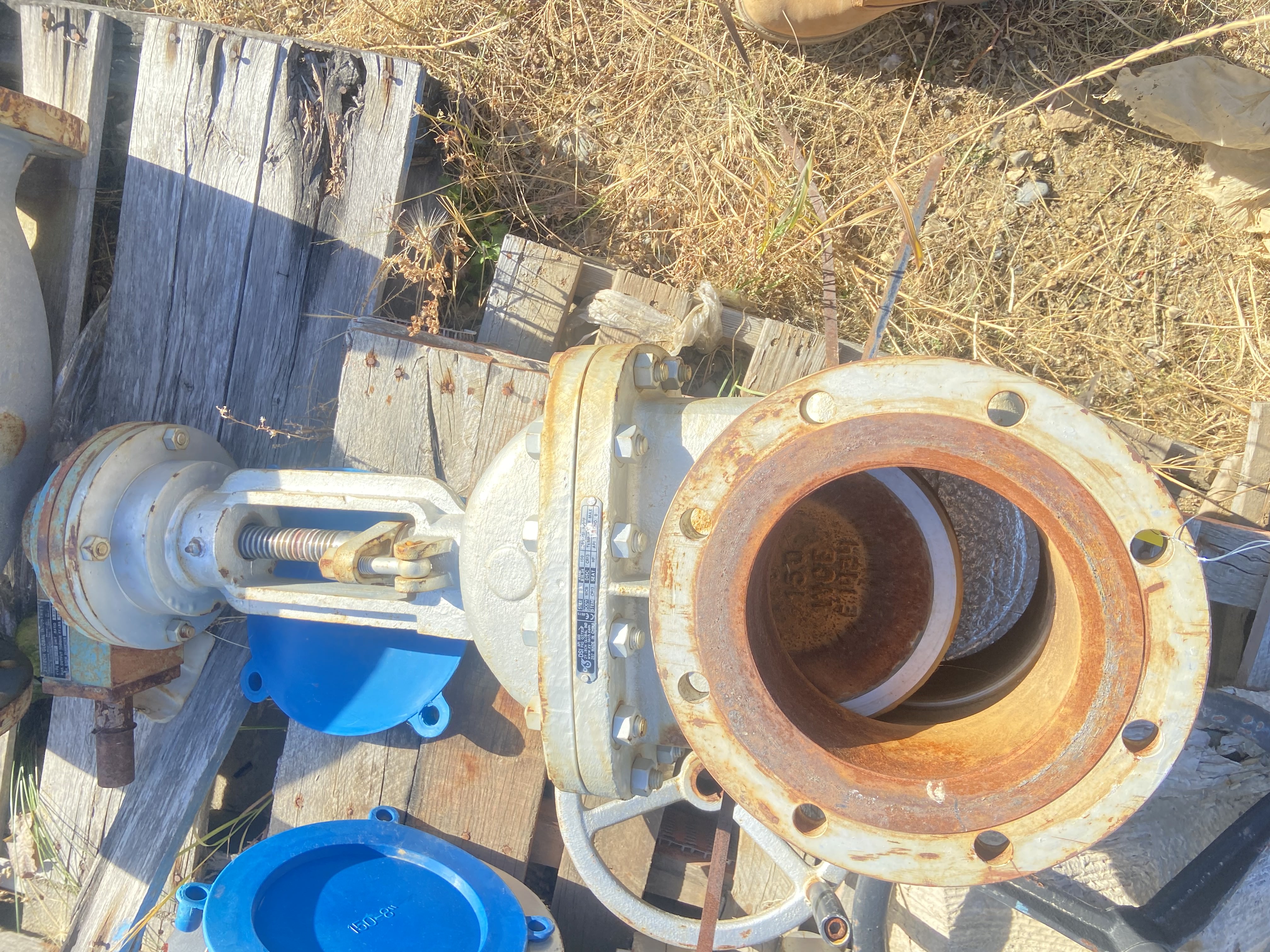 PK Valve Fig 3B 8 Inch Class 150 Swing Check Valve WCB