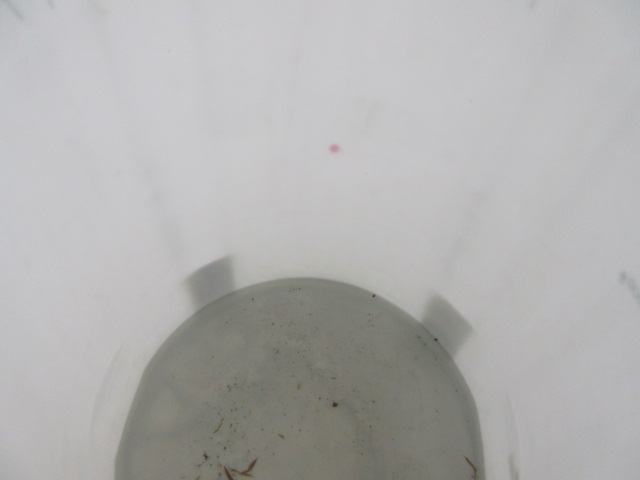 1000 Gallon Vertical Polyethylene Storage Tank TA245 — product image 3 of 7