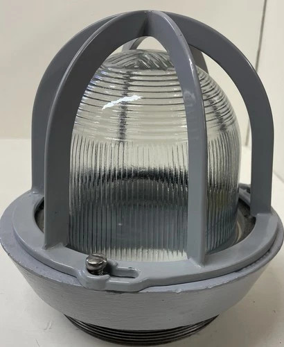 Cooper Crouse-Hinds EVI301 Vaporproof Light Guard with Glass Globe and Cage — primary product image