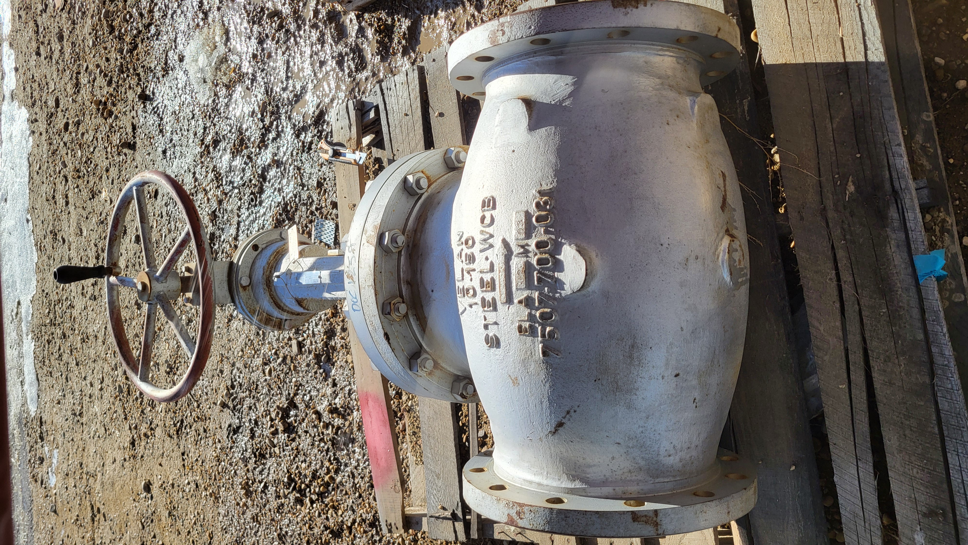 Velan 10-Inch Class 150 Cast Steel Globe Valve Fig. F16-0074C-02TY — primary product image