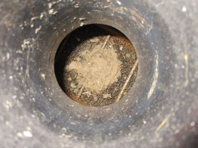 Atlantic Fabrication and Design Vertical Gas Scrubber SEPV-1604-720, 16" x 4' — product image 6 of 8