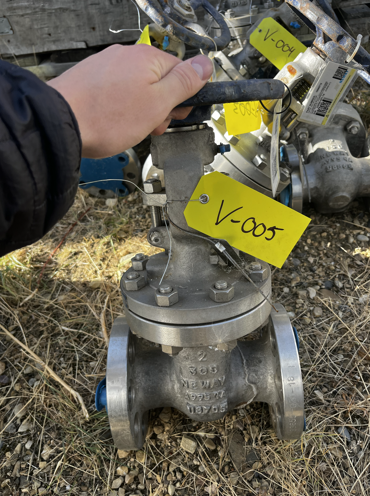 Neway 2 Inch Class 300 Cast Steel Globe Valve 263RNF51-HFW-800 — primary product image