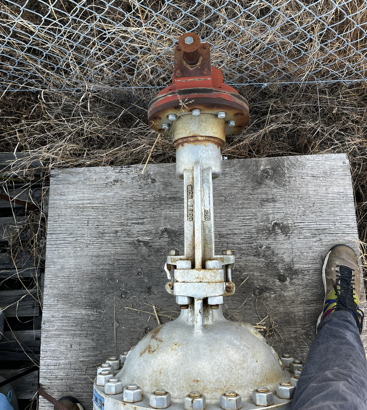 Neway Figure 501 12" Class 300 Cast Steel Gate Valve — product image 3 of 6