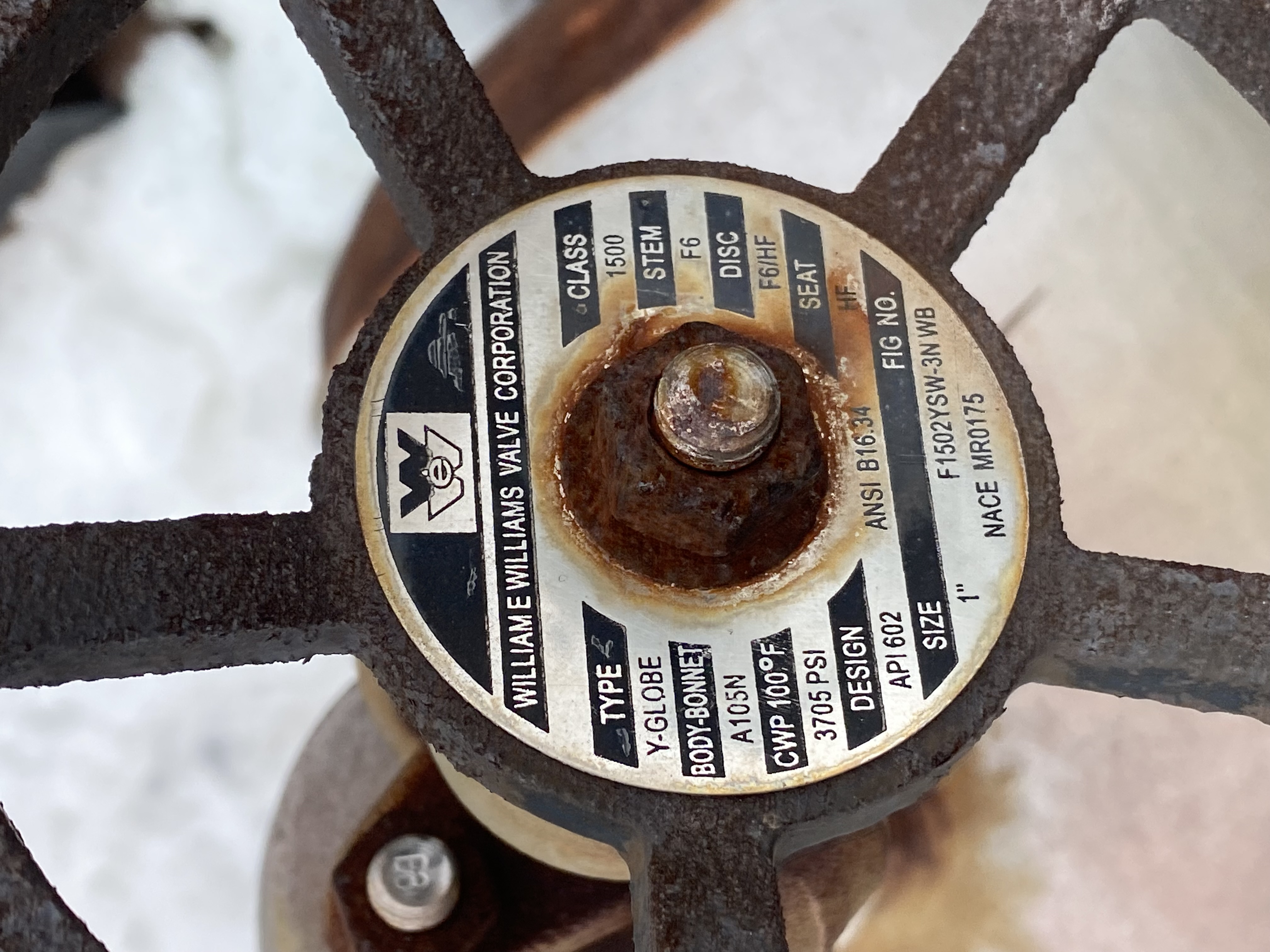 William E. Williams Class 900 10 Inch Gate Valve — product image 7 of 7
