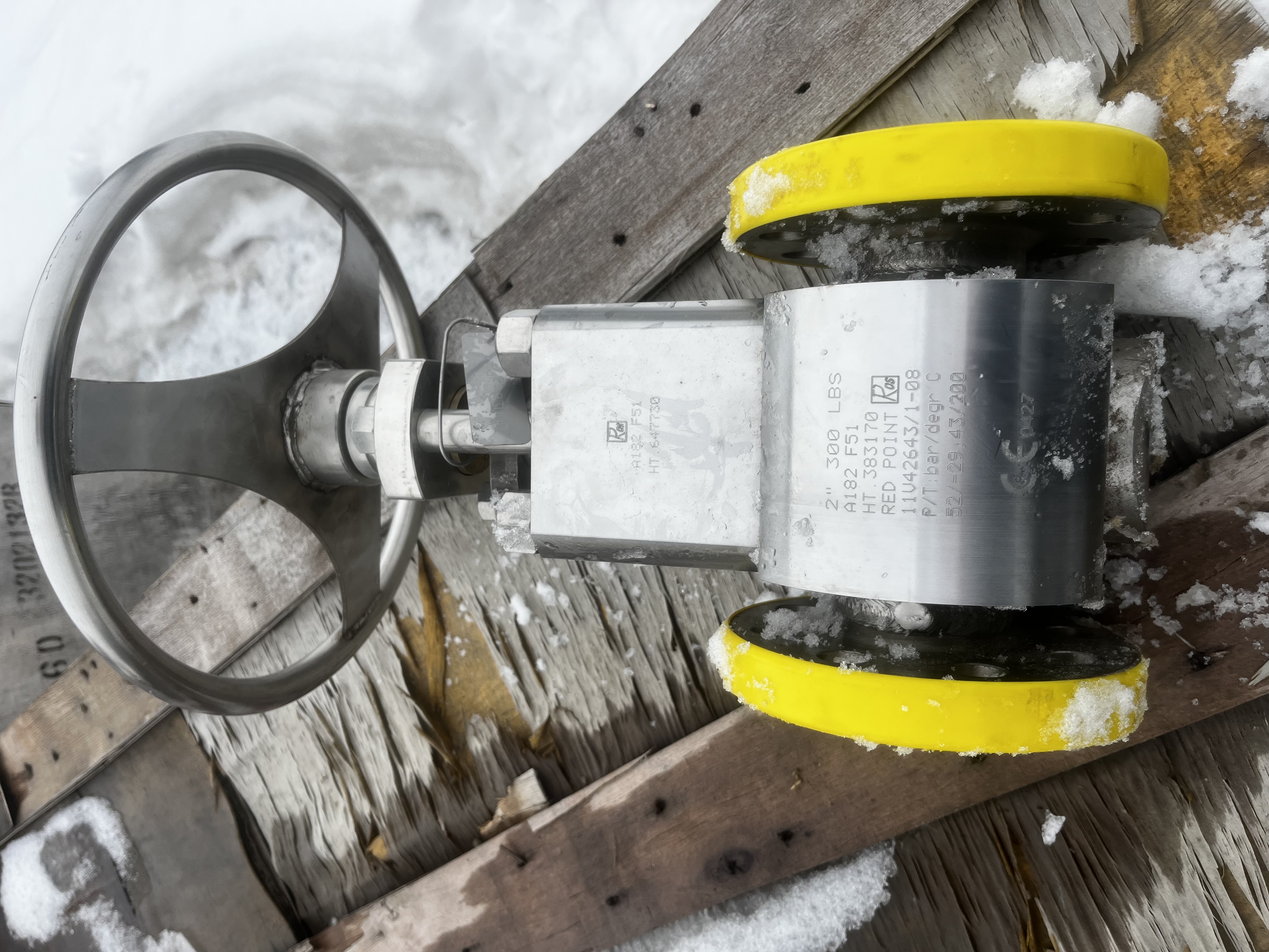 RVT 2-Inch Class 300 Gate Valve A182 F51 Duplex Stainless Steel — primary product image