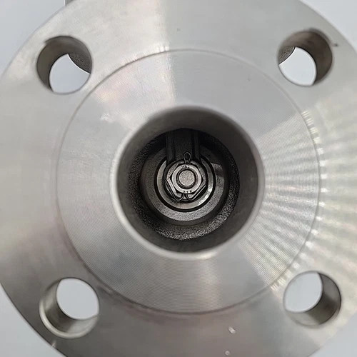 FNW 2" Swing Check Valve Class 150 316SS — product image 6 of 6