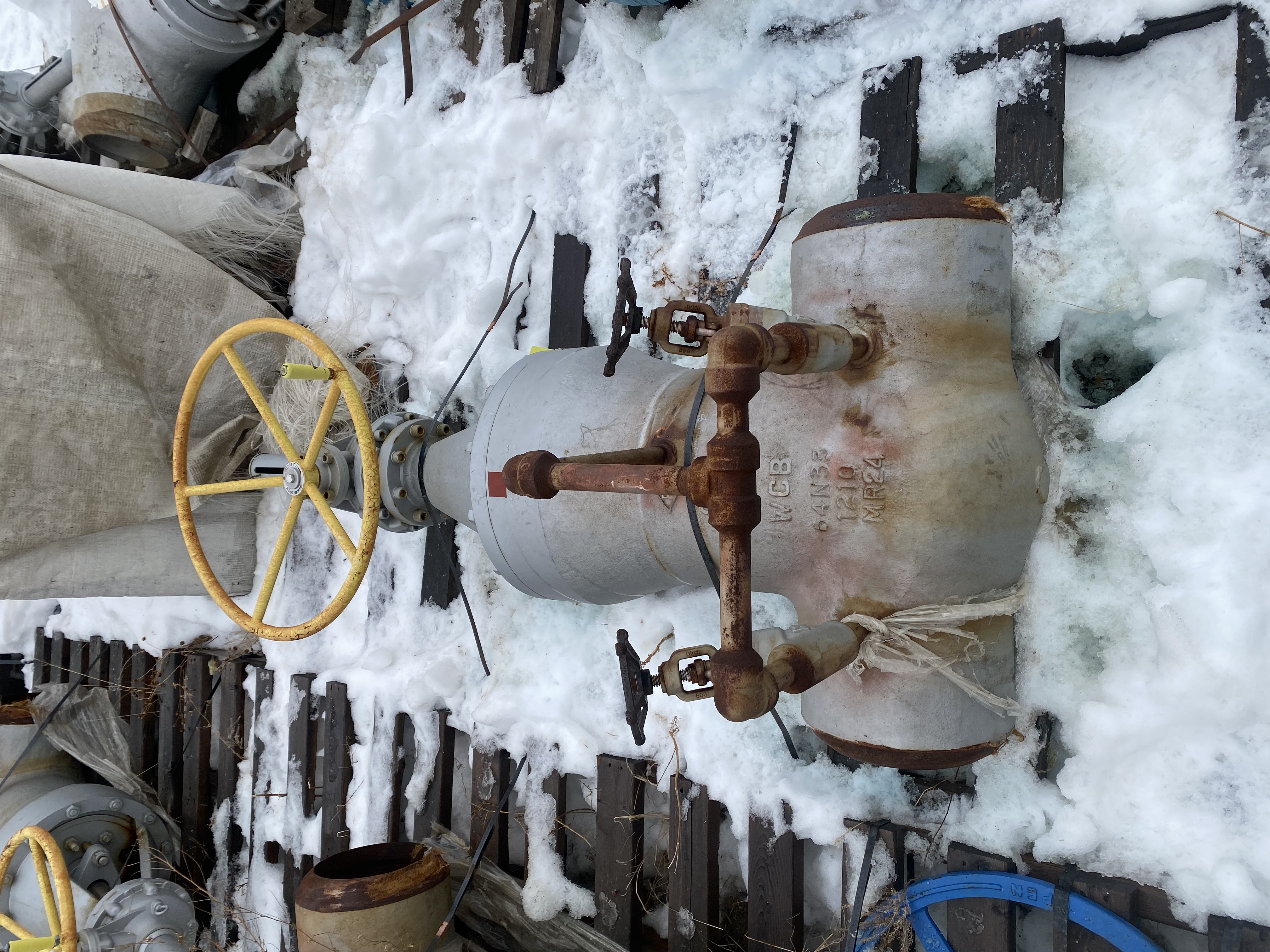 William E. Williams Class 900 10 Inch Gate Valve — product image 2 of 7