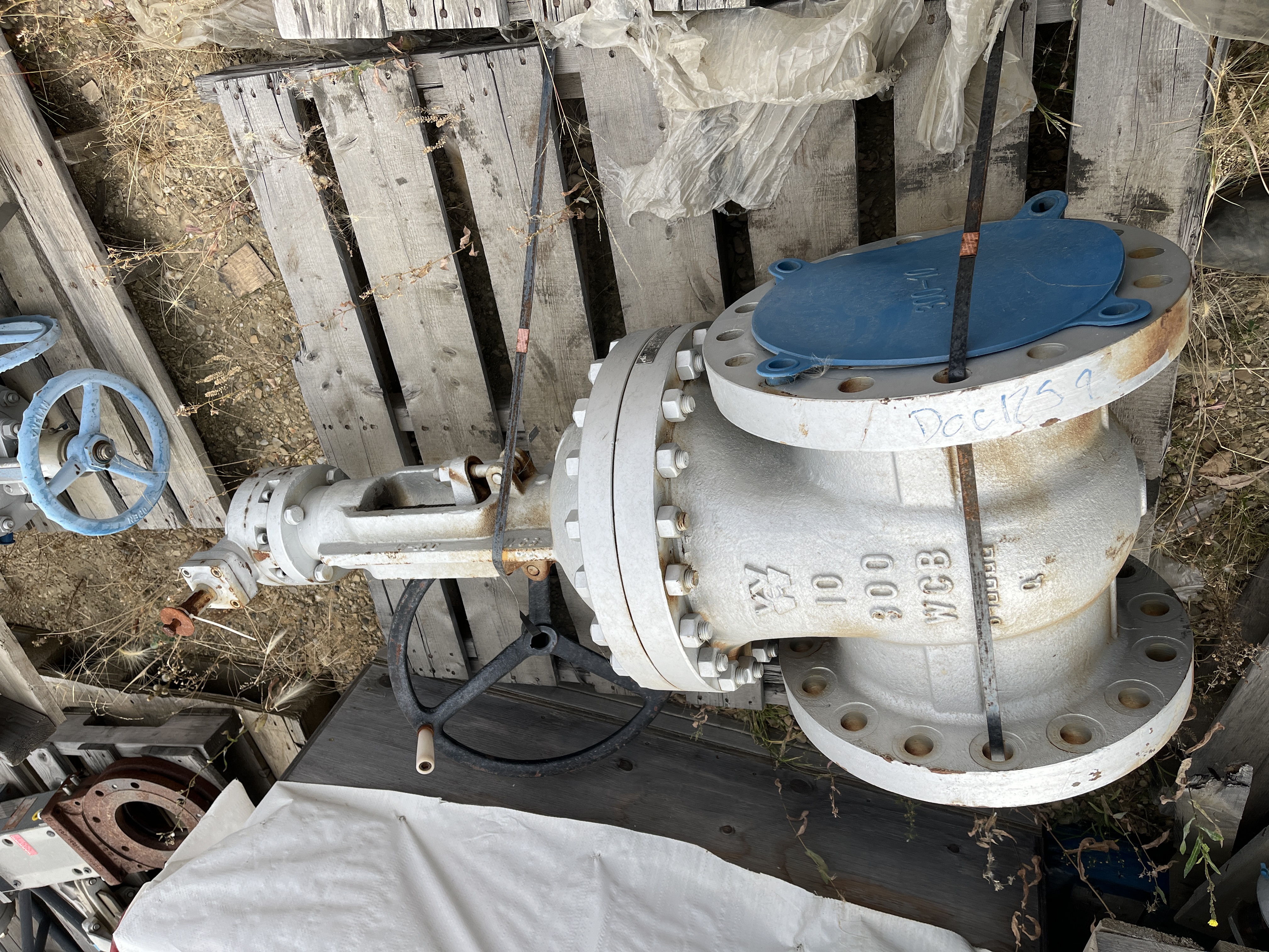 Williams Valve Corporation 10 Inch Class 300 Gate Valve — product image 2 of 3