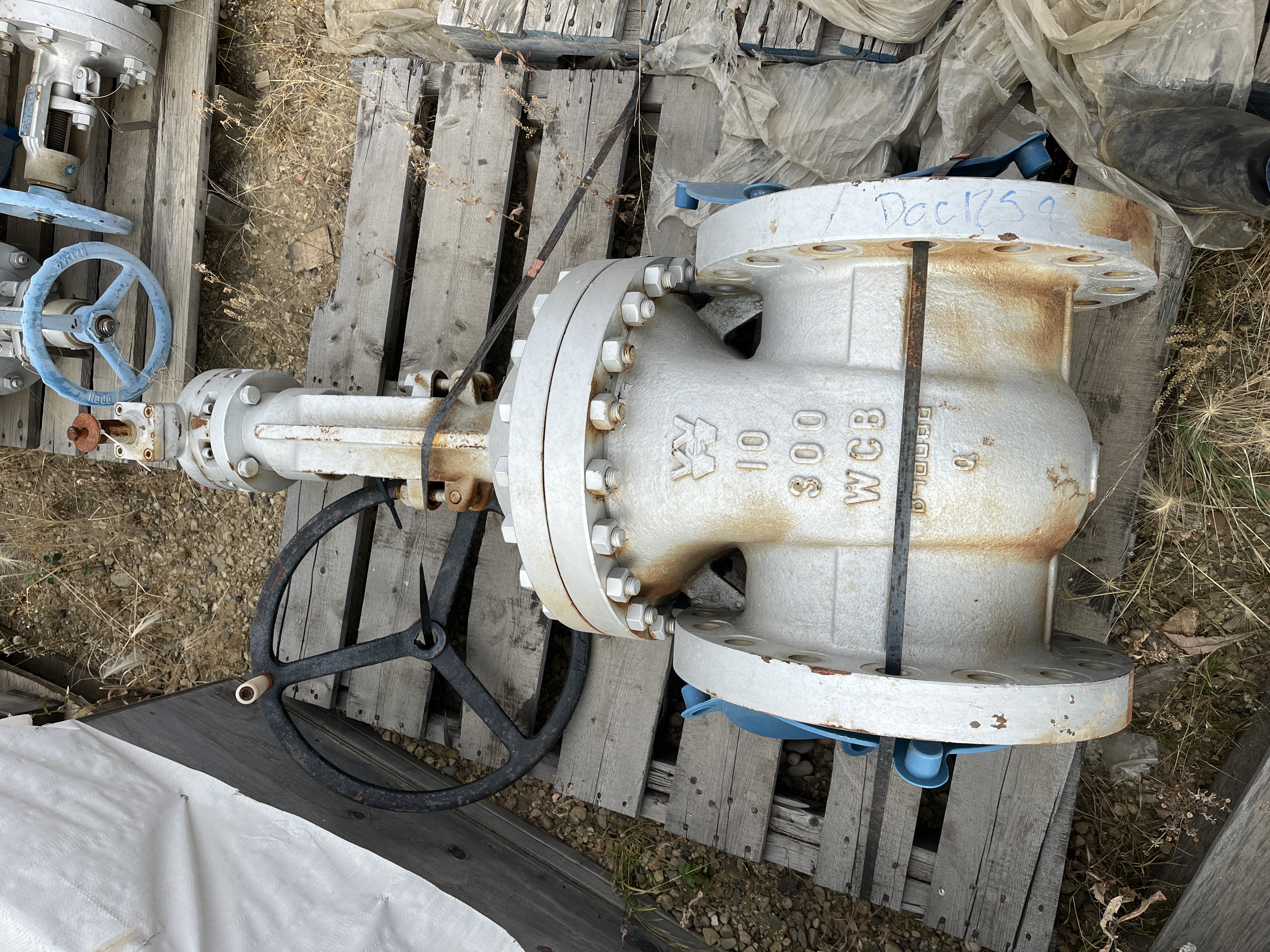 Williams Valve Corporation 10 Inch Class 300 Gate Valve — primary product image