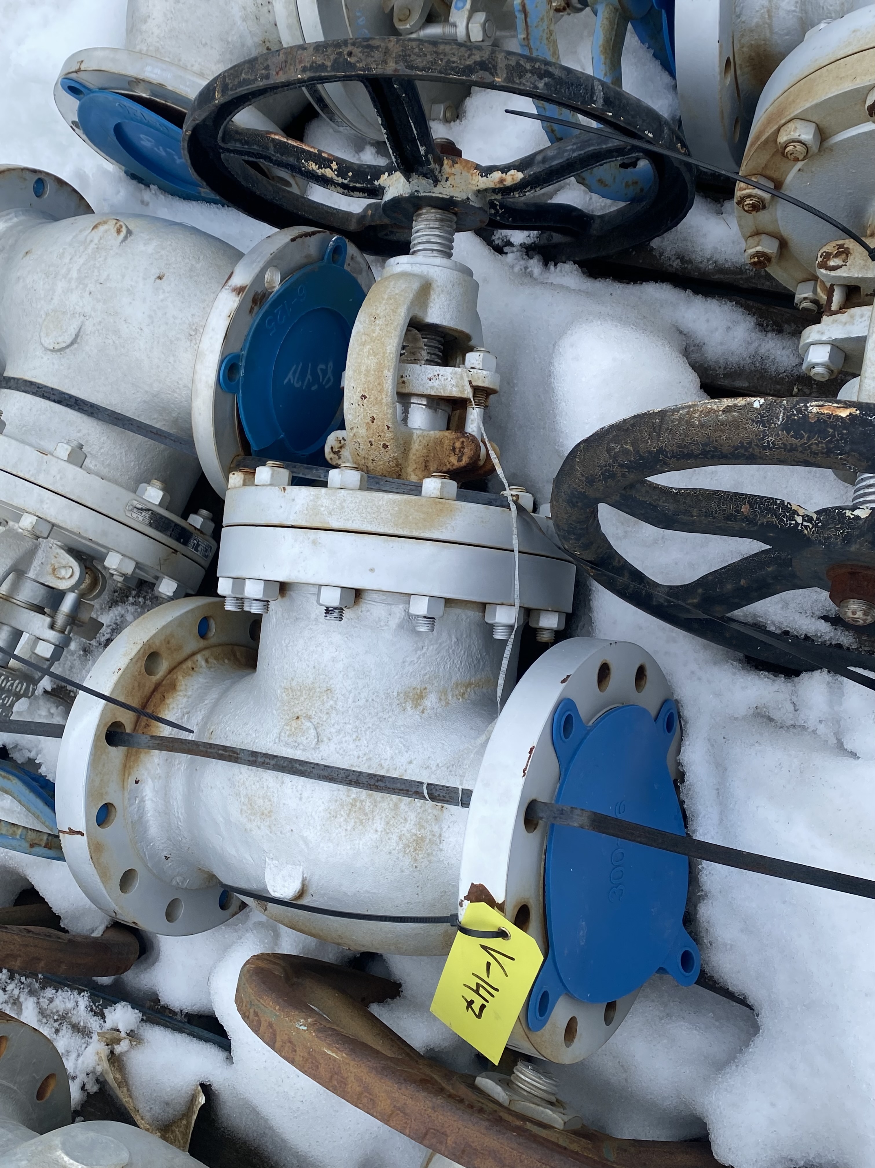 Williams Valve Corporation 6 Inch Class 300 Globe Valve — product image 3 of 3