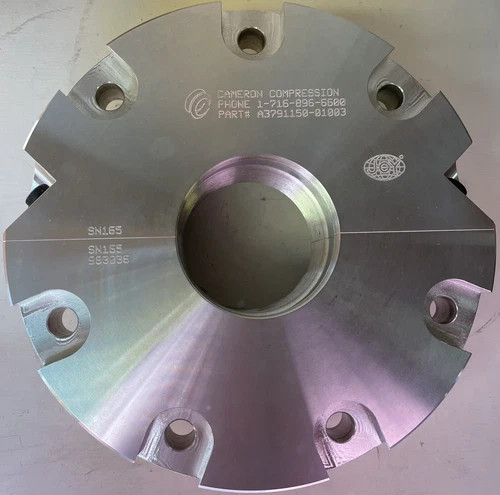 Cameron Compression Joy Labyrinth Gas Seal A3791150-01003 — primary product image