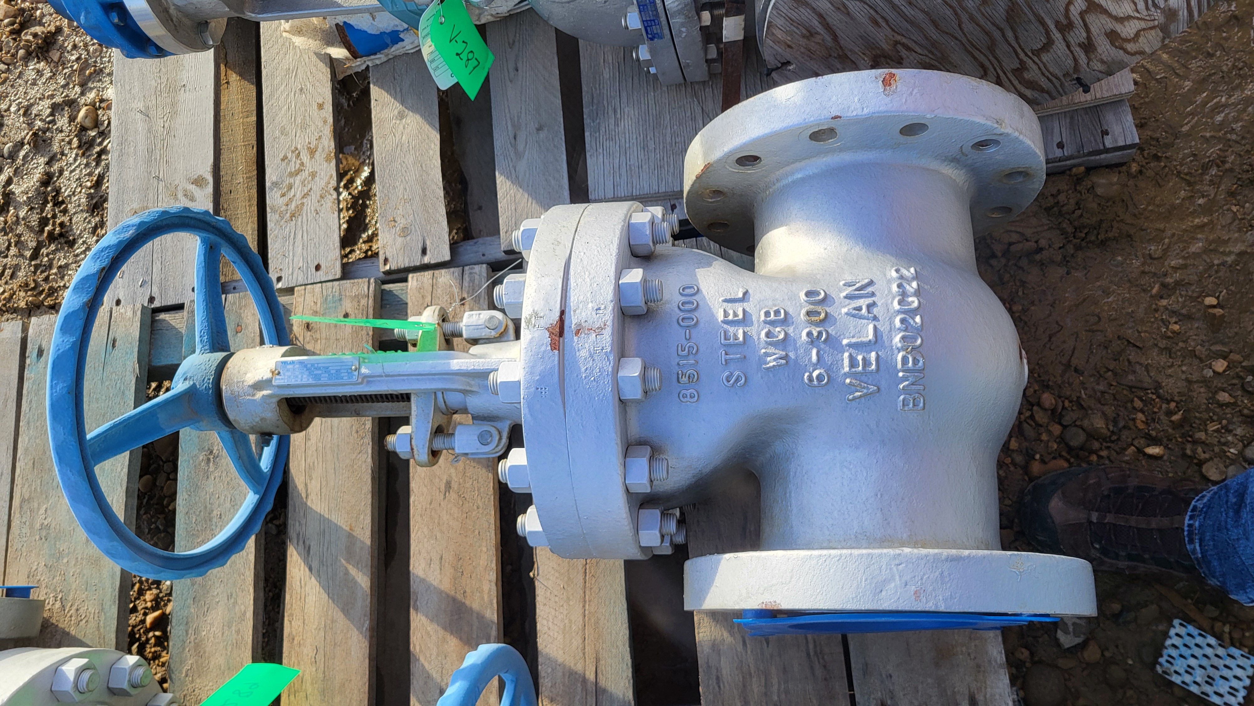 Velan 6-inch Class 300 Cast Steel Gate Valve F14-1064C-02TY — primary product image
