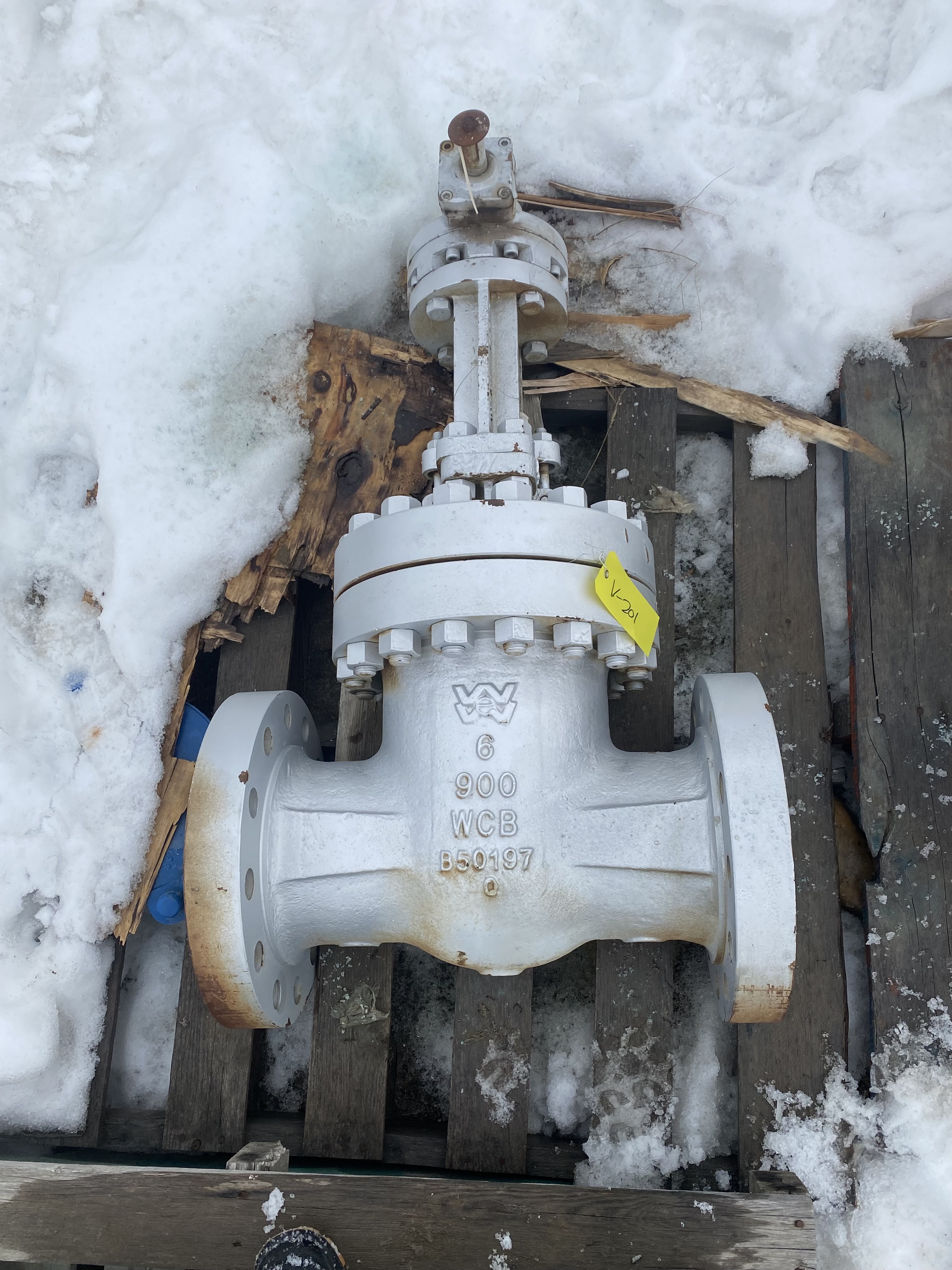 Williams Valve Corporation Class 900 Gate Valve, 6 Inch, Model 9G02160