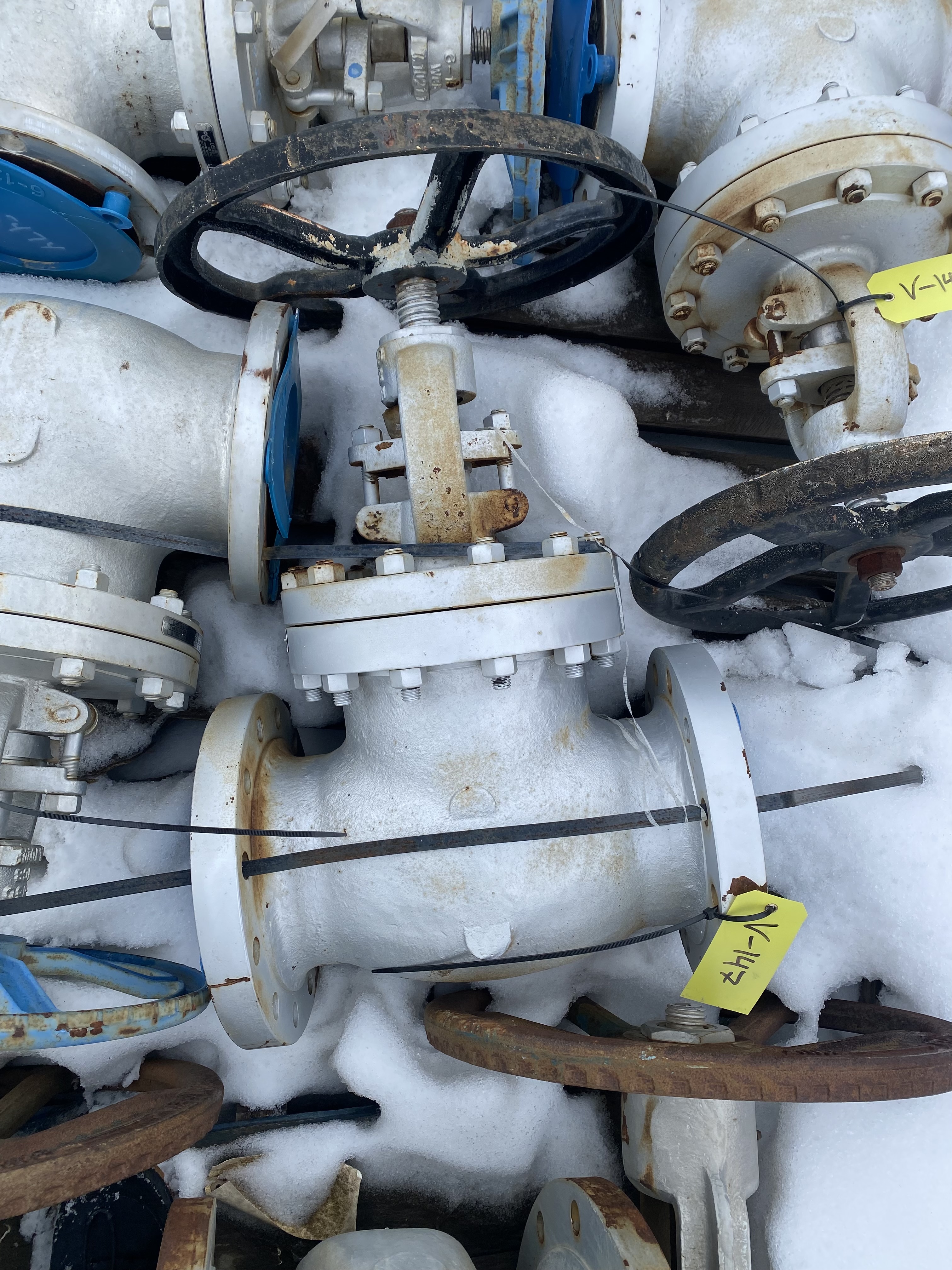 Williams Valve Corporation 6 Inch Class 300 Globe Valve — primary product image