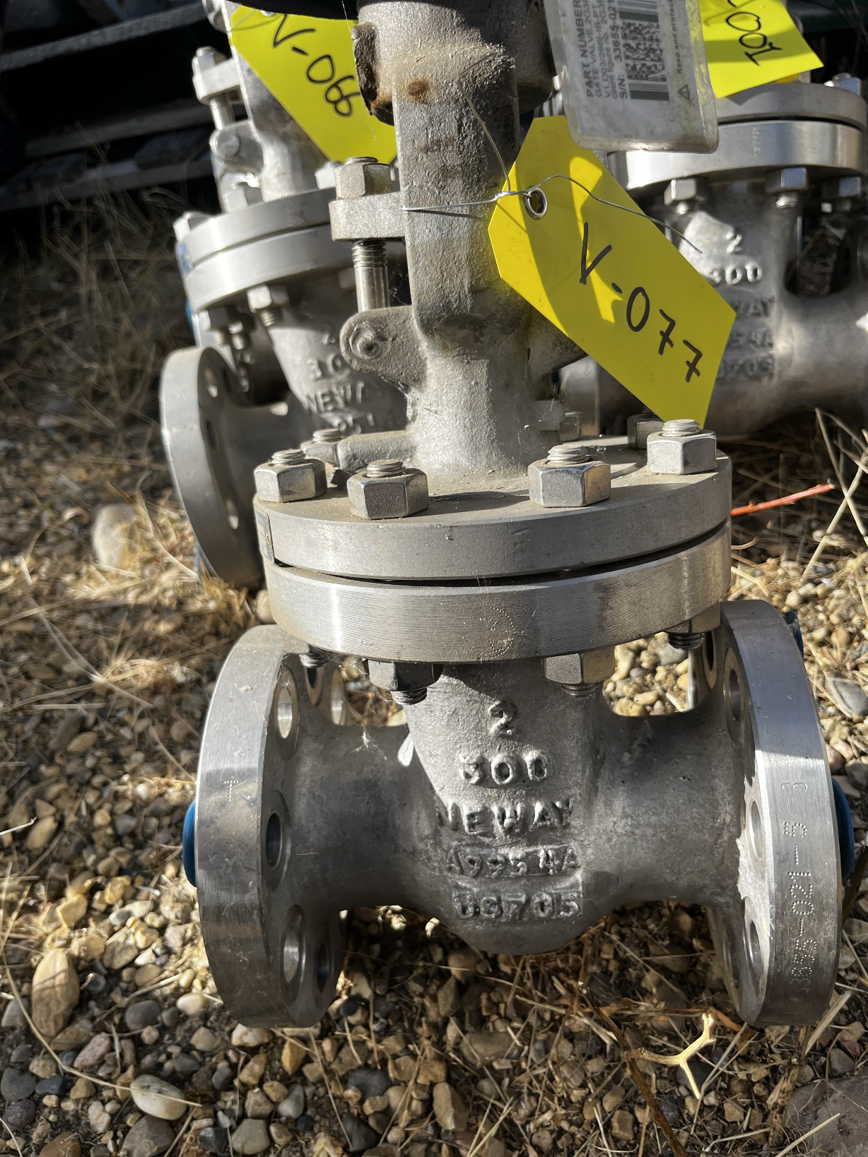 Neway 2GRNF51-HFW-600 2-Inch Class 300 Gate Valve — primary product image