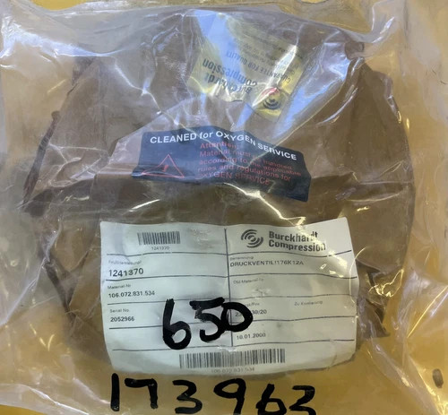 Burckhardt Compression 176K12A Discharge Valve 2D200-2E 1ST Stage — primary product image