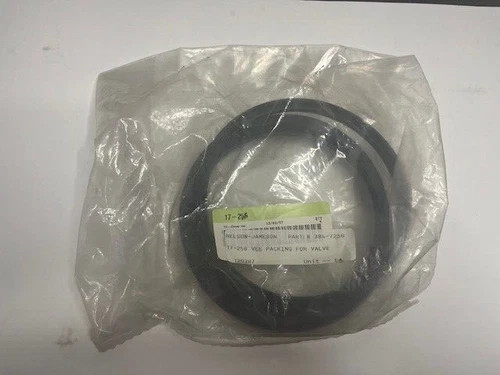Nelson-Jameson 17-256 Vee Packing for Valve (Lot of 4) — primary product image